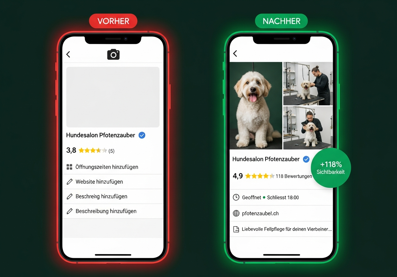 Google Business Profil Vorher Nachher Vergleich Hundesalon
